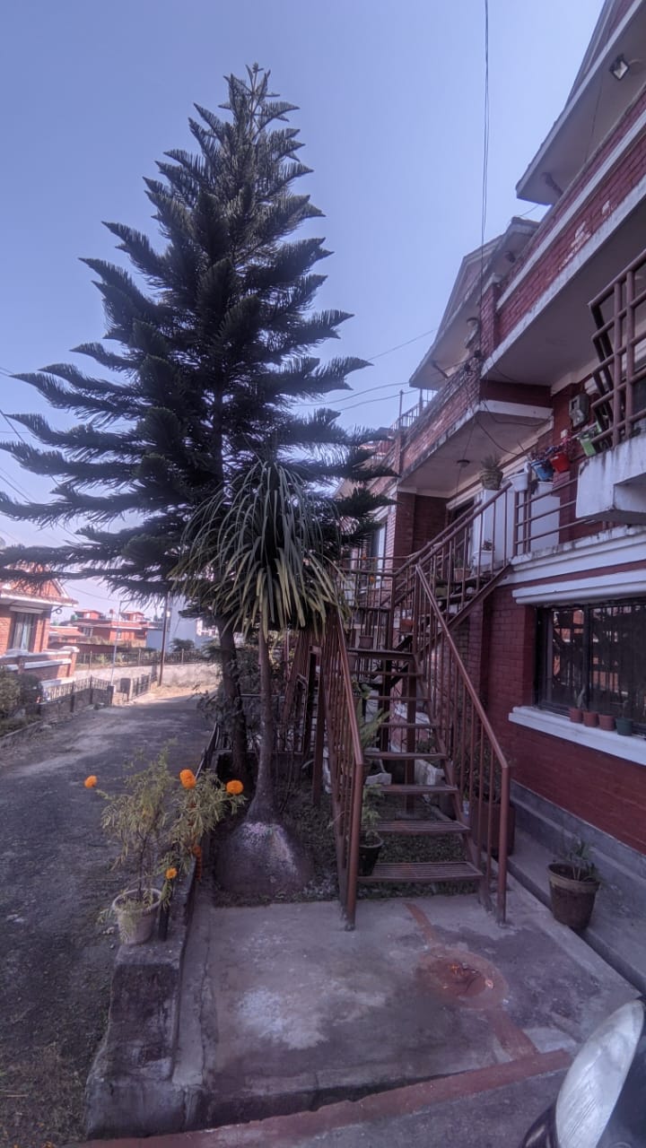 Picture of Chandragiri Municipality, Bagmati